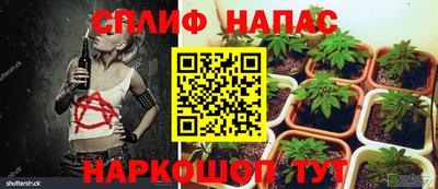 дурь Ачхой-Мартан