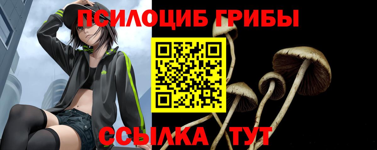 Галлюциногенные грибы Magic Shrooms Йошкар-Ола